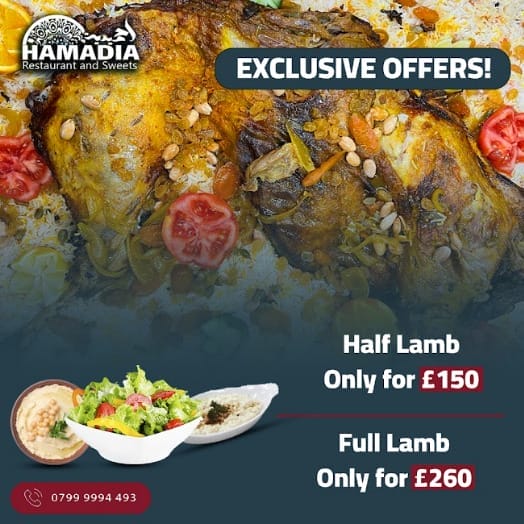 Embark on a Flavorful Journey with Hamadia's Offers!