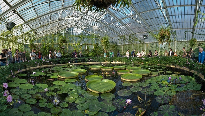 Save Big on Tickets to Kew Gardens - Limited Time Offer!