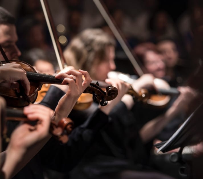 Unlock Your Musical Talents with Affordable Introductory Violin Classes in London!